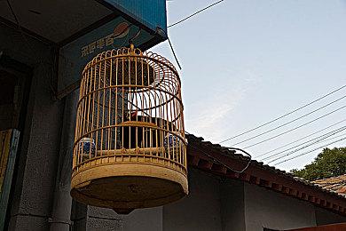 《蹦蹦小囤鼠》登陆Steam 休闲松鼠公园冒险